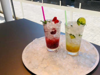 Tag des Mojito