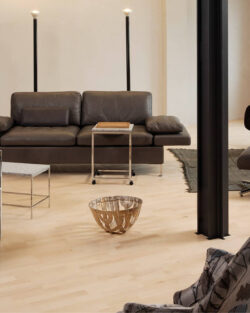 Brühl Sofa Alba braun Leder