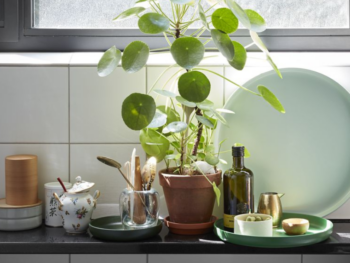 Vitra Trays Accessoires Gruen Green Millieu