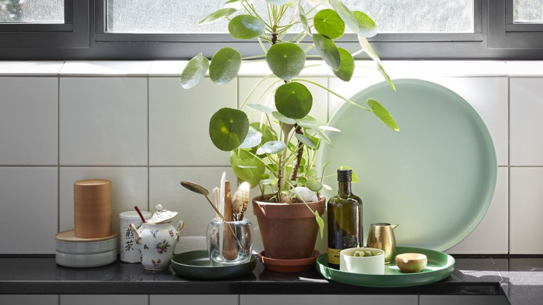 Vitra Trays Accessoires Gruen Green Millieu