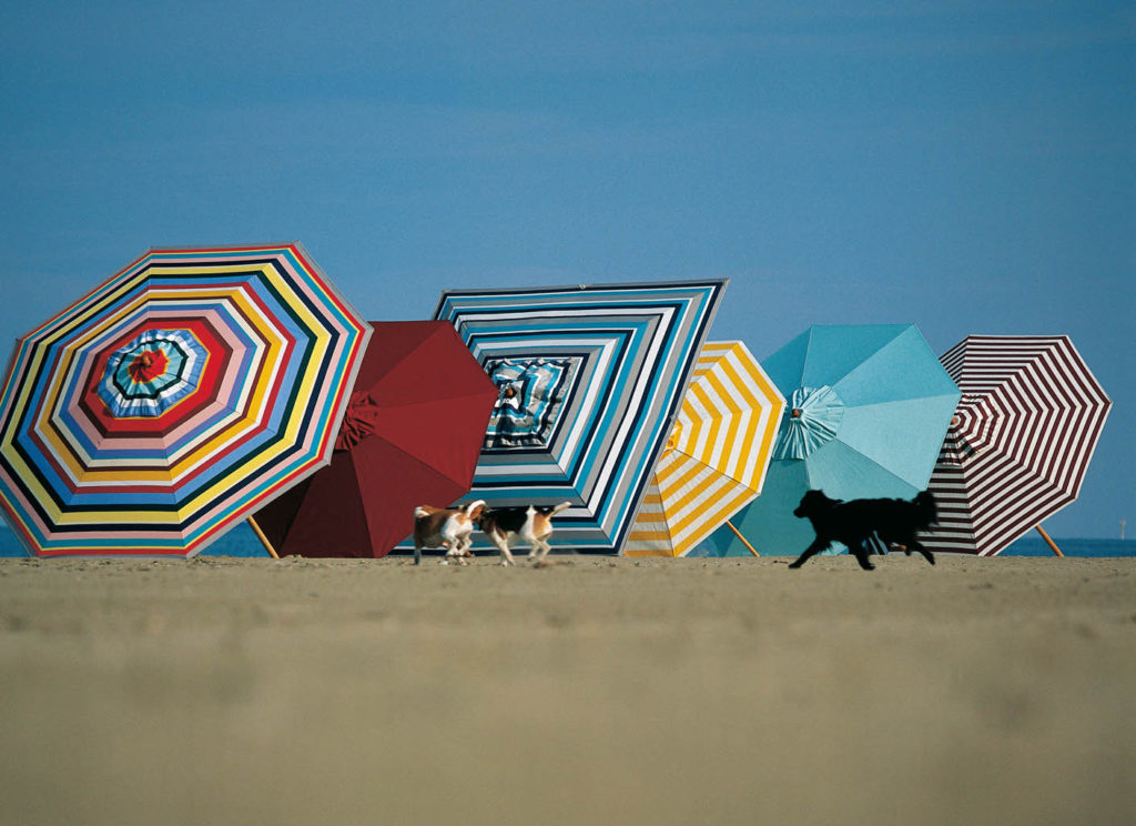 Sonnenschirme von Weishäupl bunt am Strand