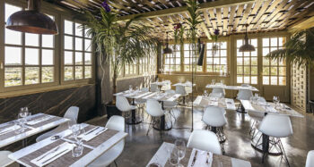 Vitra DSR Stühle weiß im Restaurant